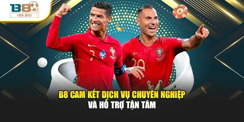 B8 cam kết dịch vụ chuyên nghiệp và hỗ trợ tận tâm